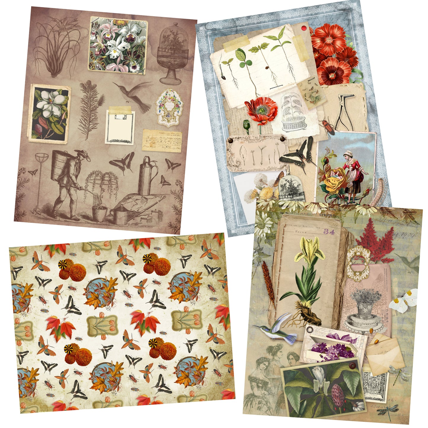 My Botanical Field Paper Pack - 7420