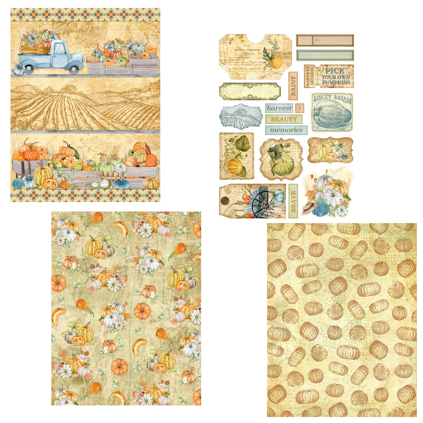 Pumpkin Patch Embellishment Pack - 7576