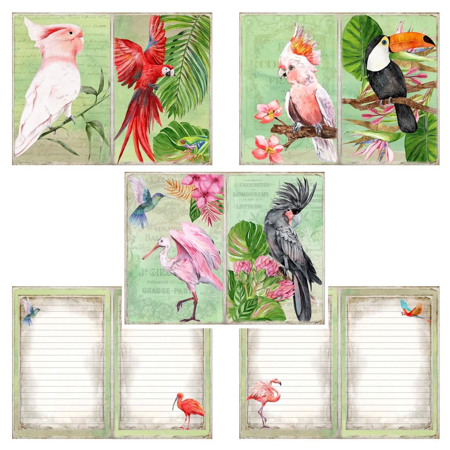 Exotic Birds Journal Pages - 23-7021