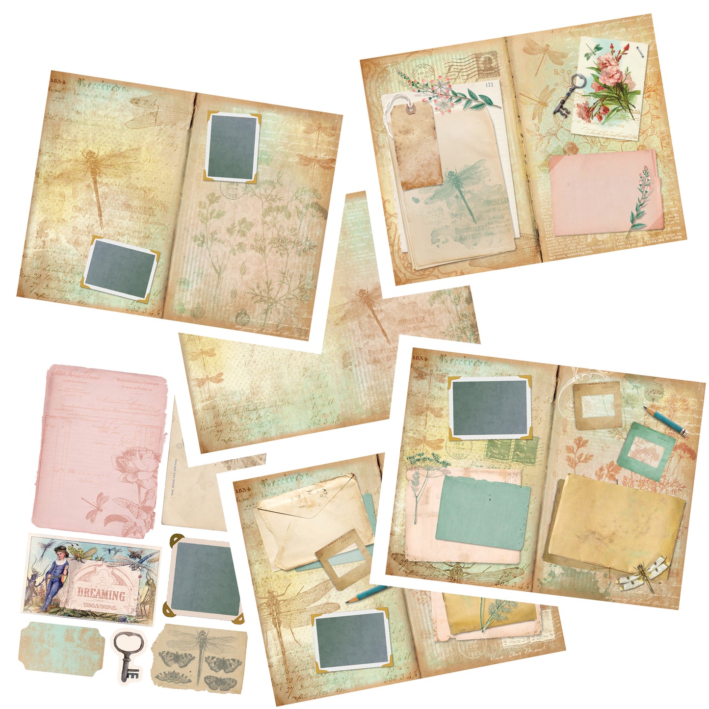 Dragonfly Journal Pack - 7300