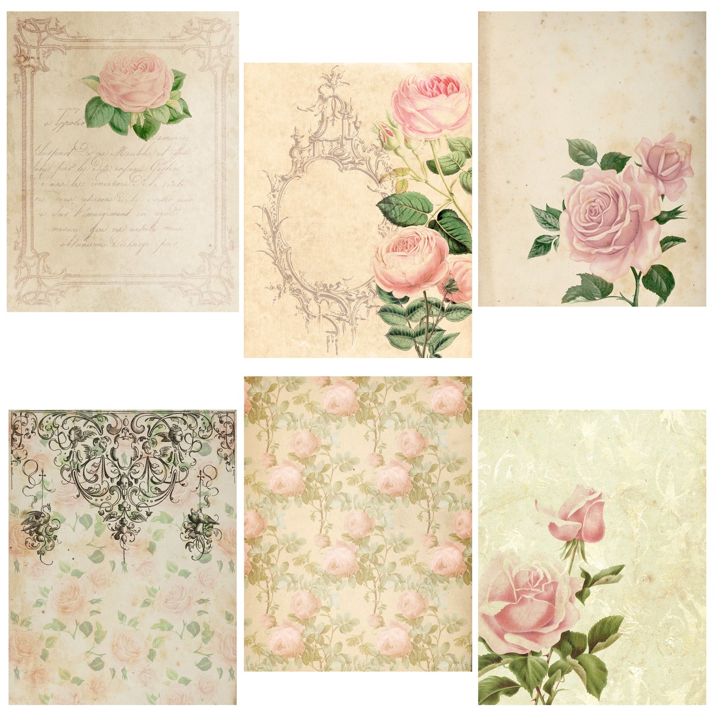 Old Rose Paper Pack - 7886