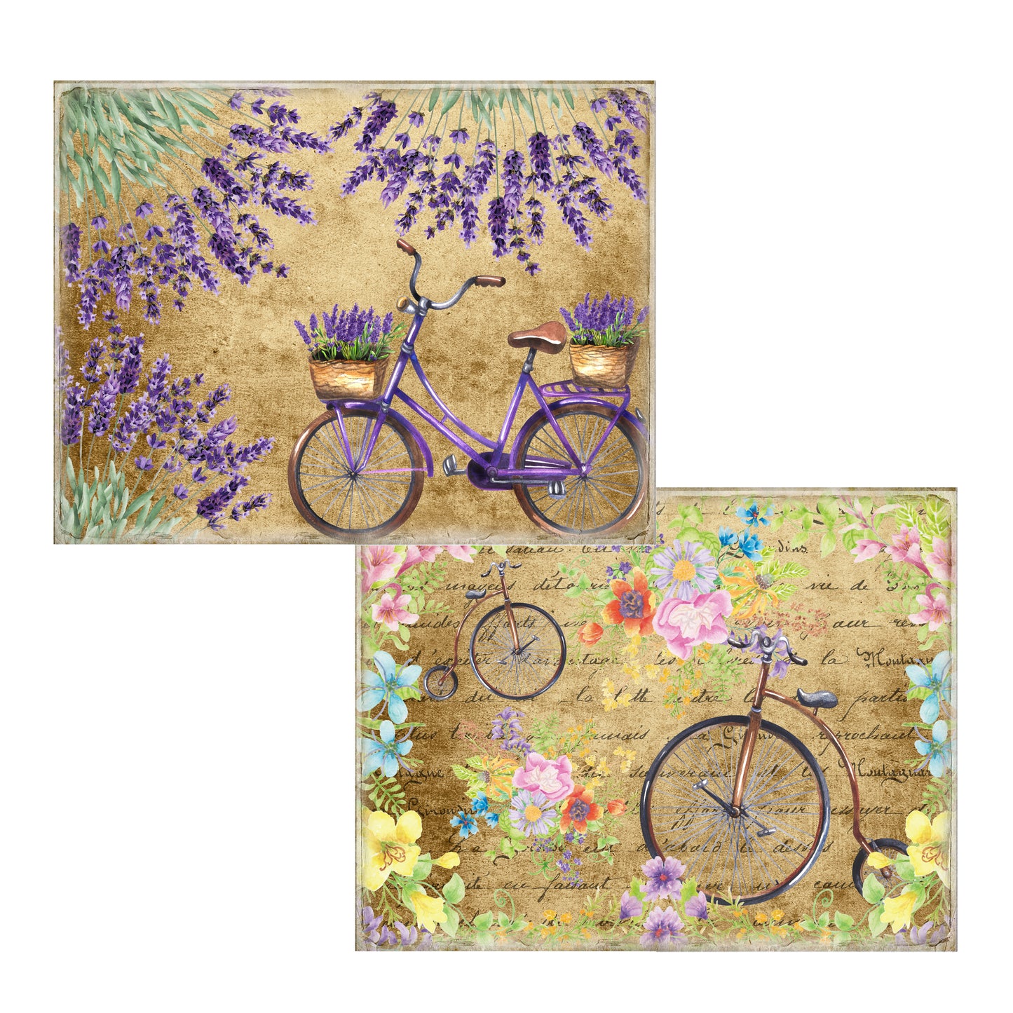 Bicycles Journal Pages - 7988