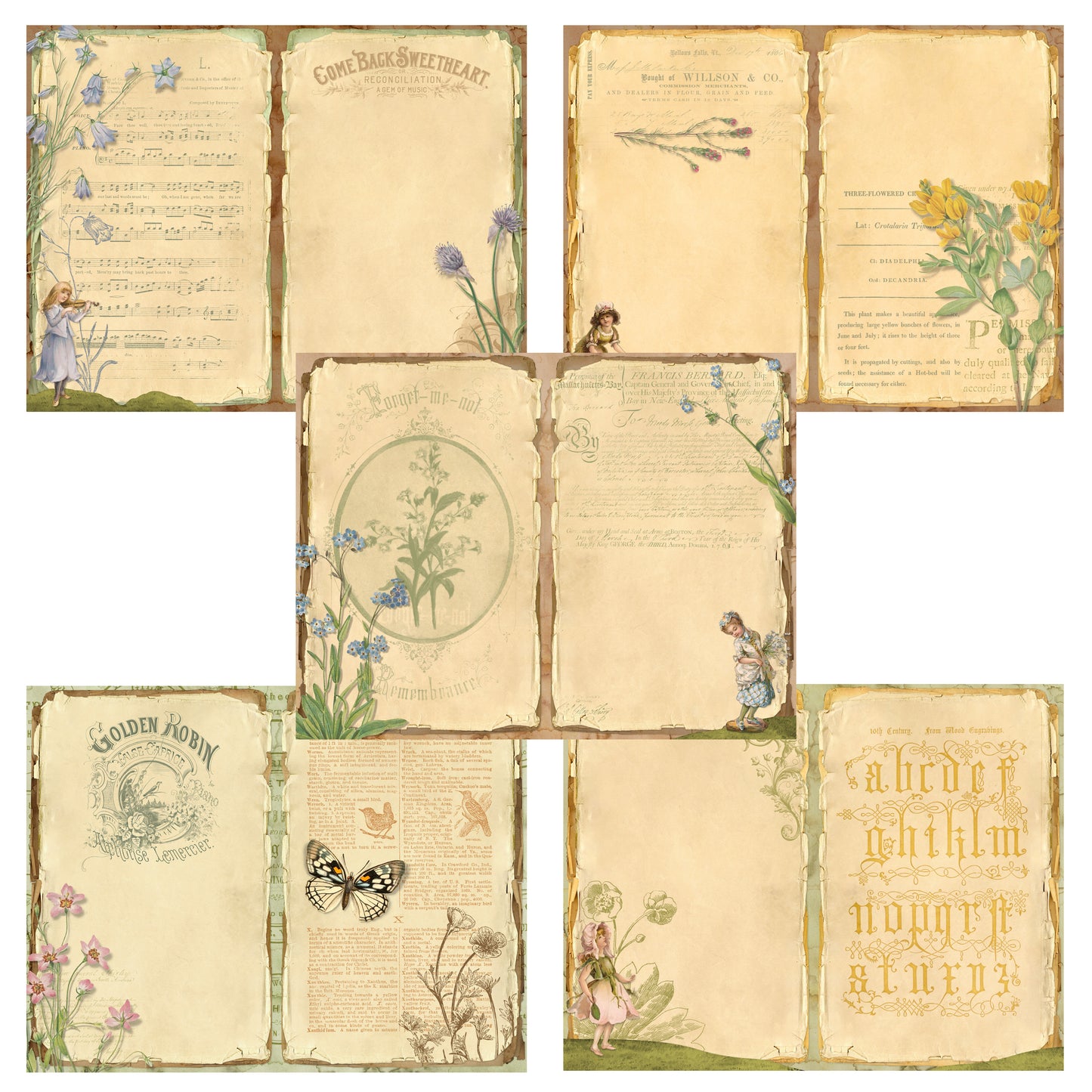 Meadows & Wildflowers Journal Pages - 7559