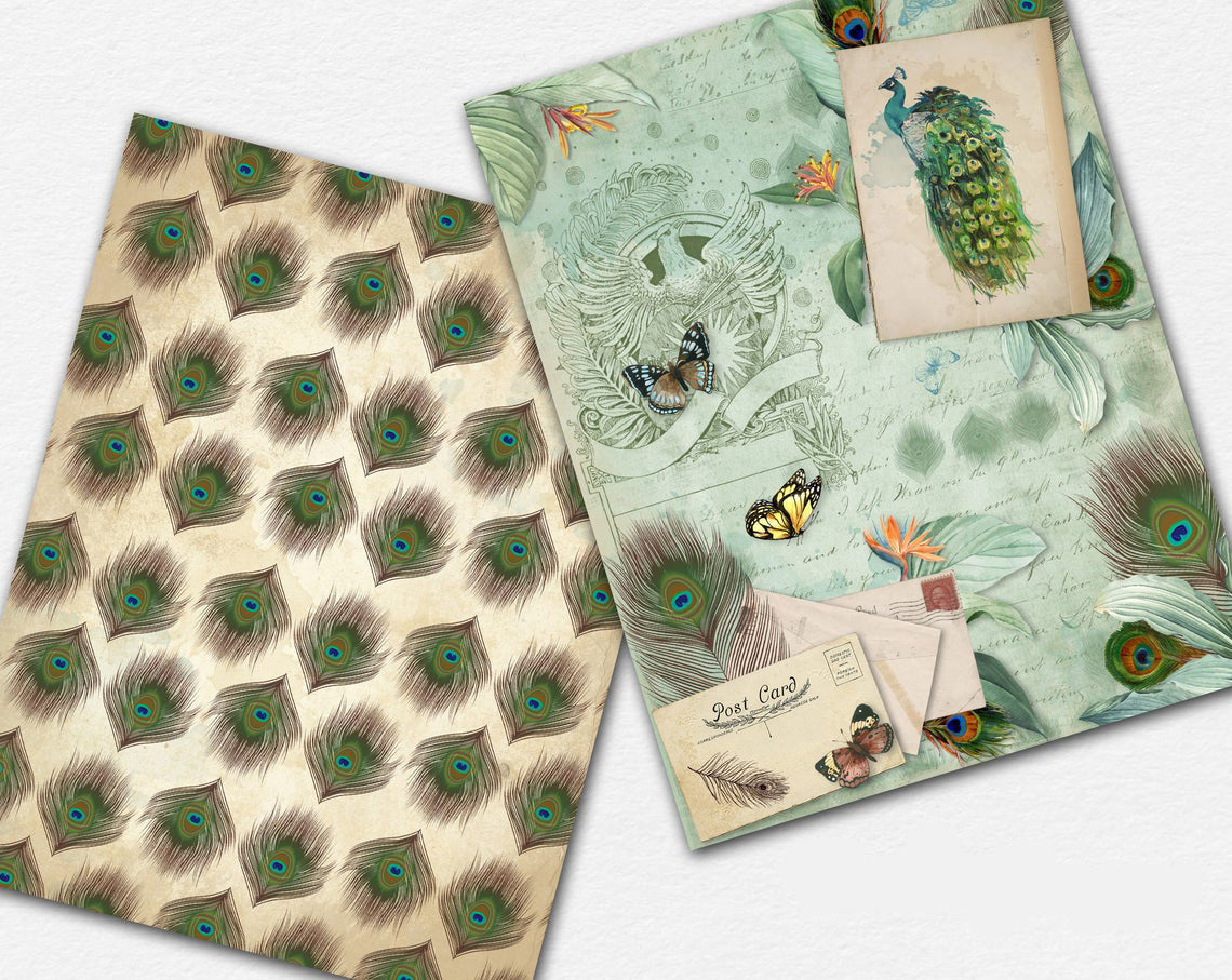 Proud Peacocks Paper Pack - 7337 - EZscrapbooks Scrapbook Layouts birds, Journals, paper pack