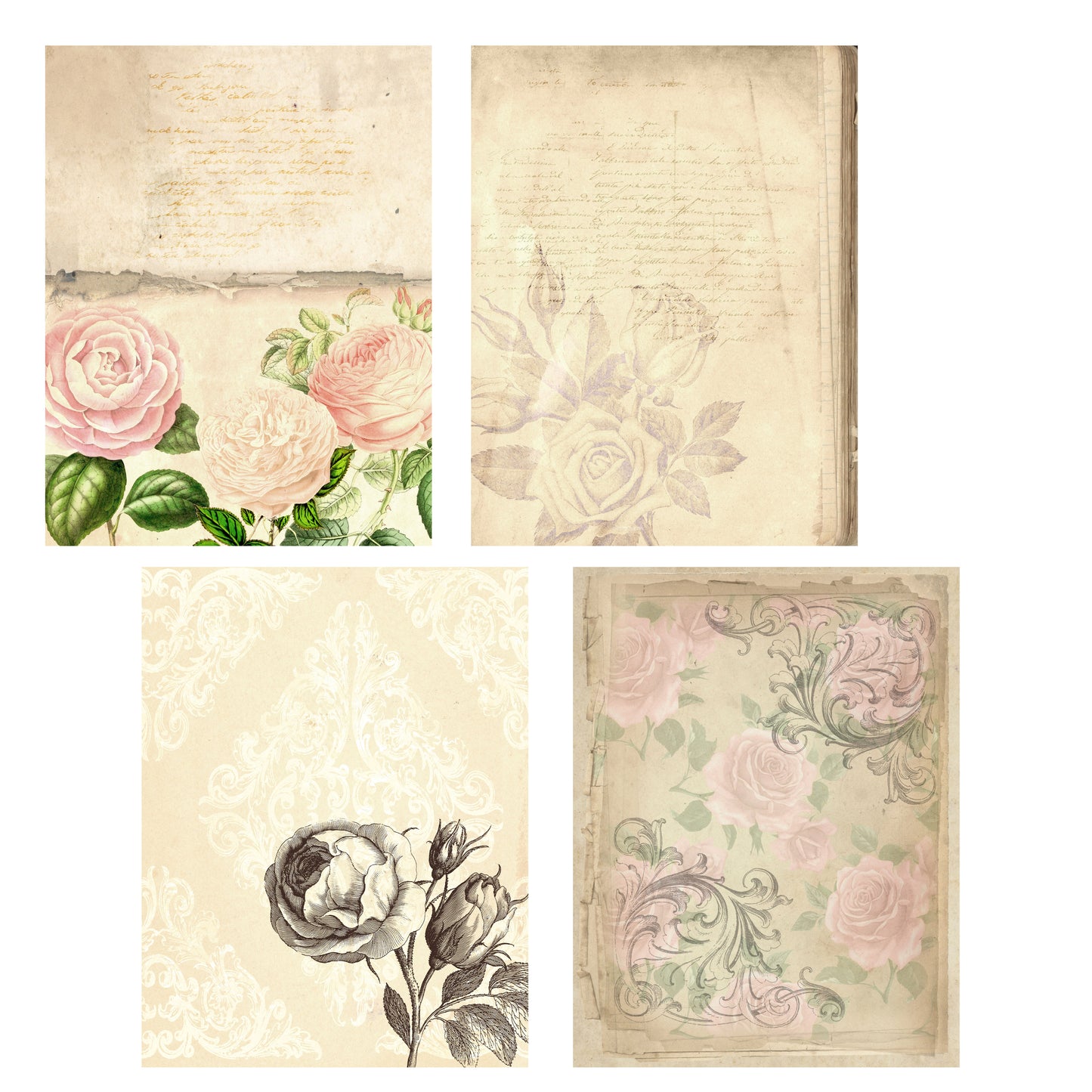 Old Rose Paper Pack - 7886