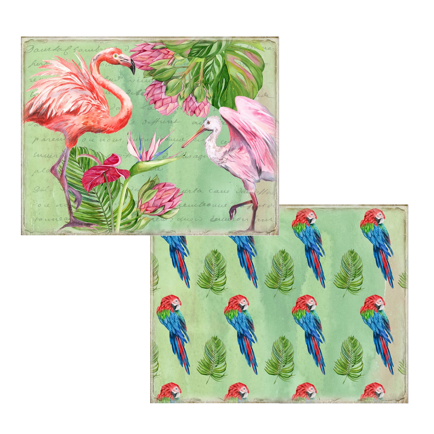 Exotic Birds Journal Pages - 23-7021