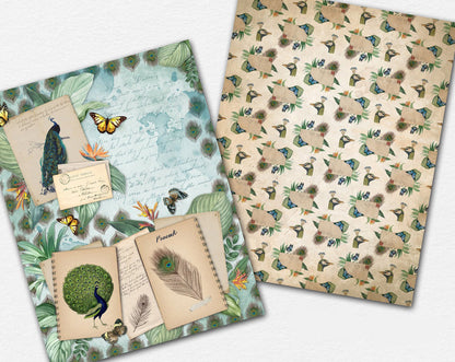 Proud Peacocks Paper Pack - 7337 - EZscrapbooks Scrapbook Layouts birds, Journals, paper pack