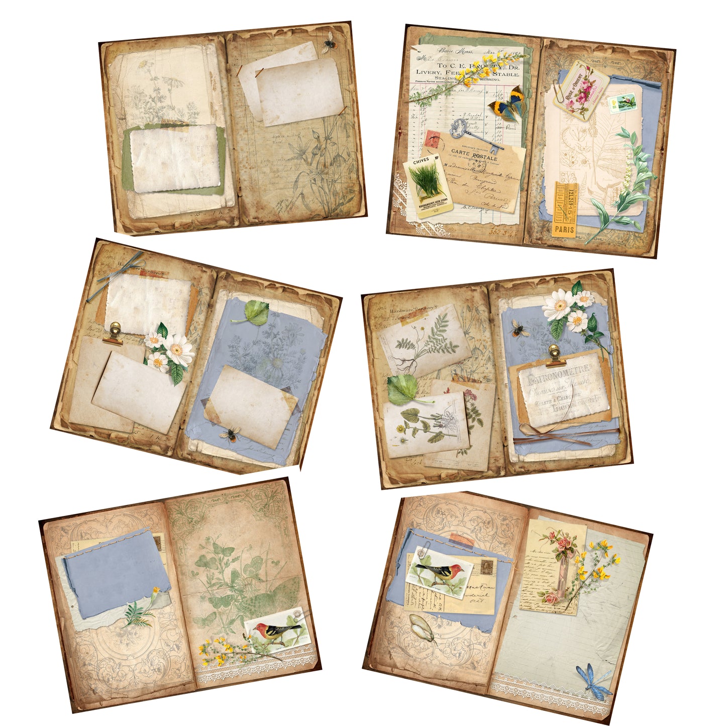 Botanical Compendium Junk Journal - 7144 - EZscrapbooks Scrapbook Layouts Journals