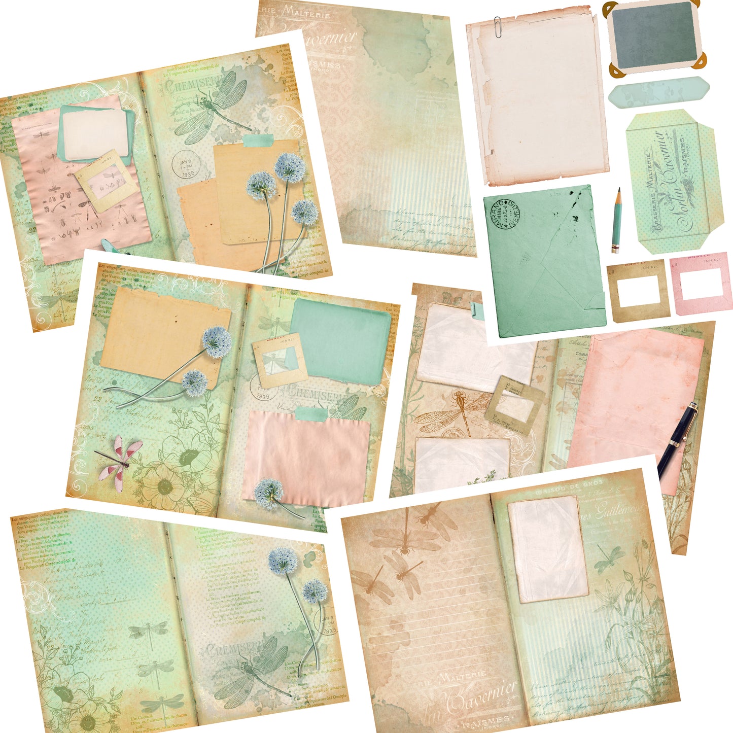 Dragonfly Journal Pack - 7300