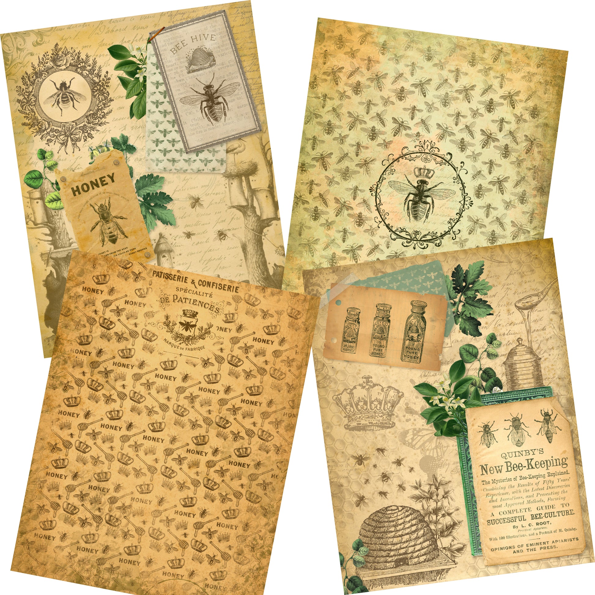 Queen Bees Paper Pack - 7320 - EZscrapbooks Scrapbook Layouts Journals, paper pack