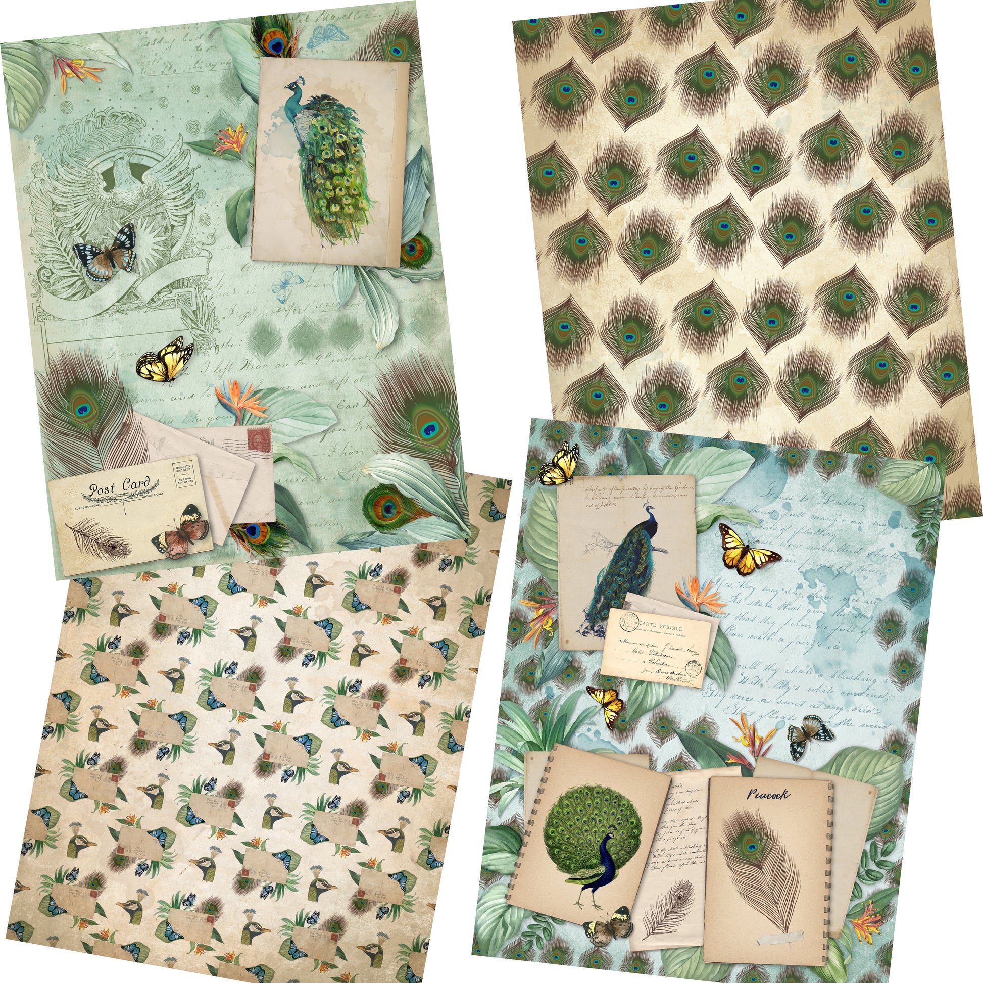 Proud Peacocks Paper Pack - 7337 - EZscrapbooks Scrapbook Layouts birds, Journals, paper pack