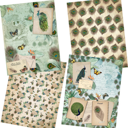 Proud Peacocks Paper Pack - 7337 - EZscrapbooks Scrapbook Layouts birds, Journals, paper pack