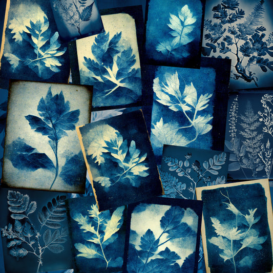 Cyanotype Paper Pack - 23-7119