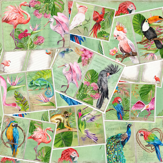 Exotic Birds Journal Pages - 23-7021