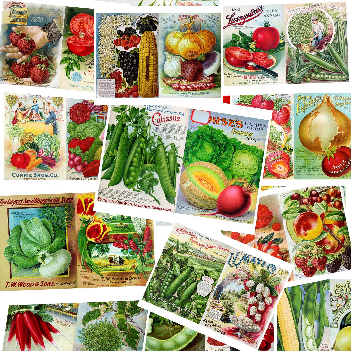 Seed Catalog 1 - Journal Pages - 7346