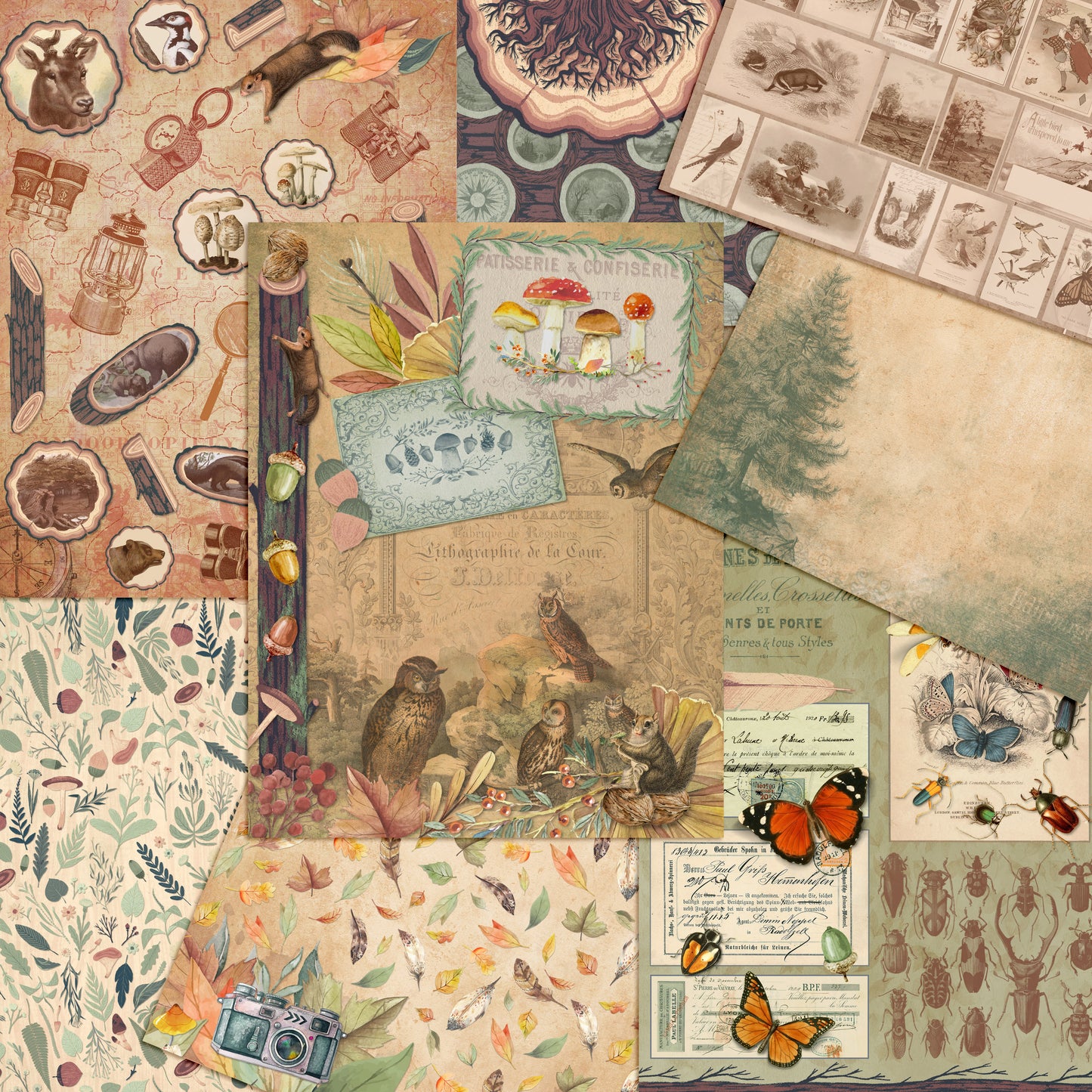 The Woods Paper Pack - 7391