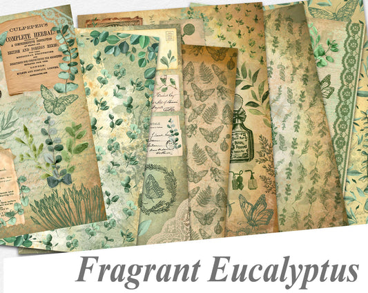 Fragrant Eucalyptus Paper Pack - 7269